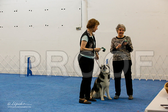 _M3_8053-AddisonHuskyMar2015-HR3