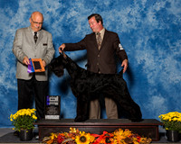 Giant Schnauzers #31 Sun WD Maj Wood Derrick Judge Mr Gary L Andersen