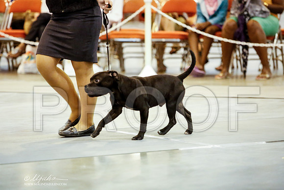 _JJ_6515-DalJul2014-HR3