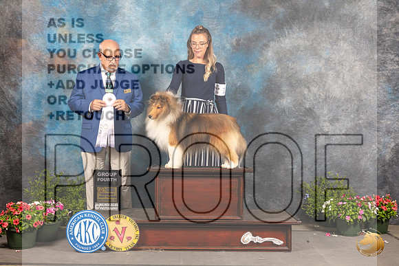 Shetland Sheepdog #11 Sat G4 Judge Michael Canalizo_MJ_0546_SA_2022_HR3