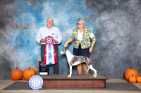 Whippet #12 Sun BIS Judge Hal Biermann