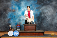 French Bulldog #6 Sun BOWBOS Judge Tim Robbins