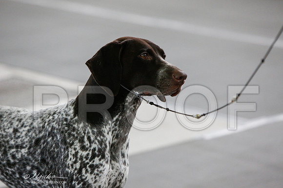 _JJ_1308-DallasJul2014-HR3