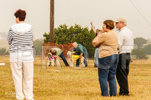 _MJ_3670-AfgBeltonOct2014-HR3