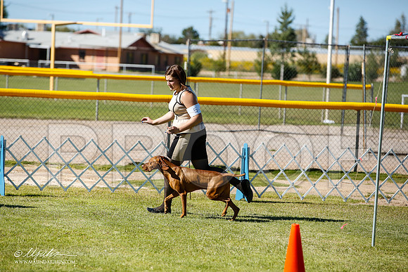 _JN_7379-AlamogordoOct2014-HR3