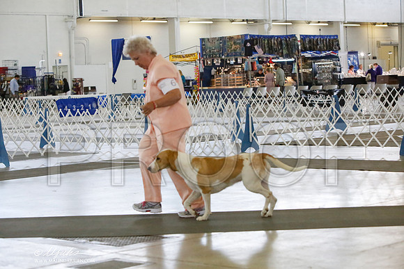 _HR_4627-DallasJul2014-HR3