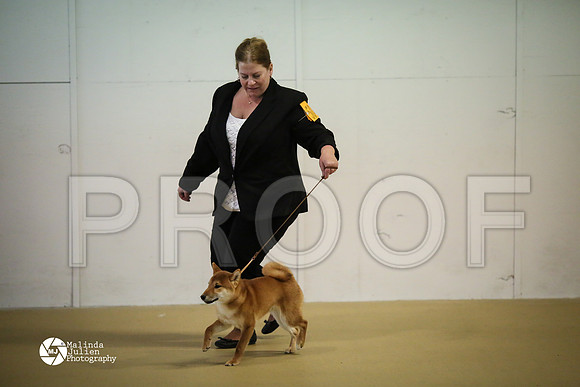 shib-6721-HtoJan14-HR