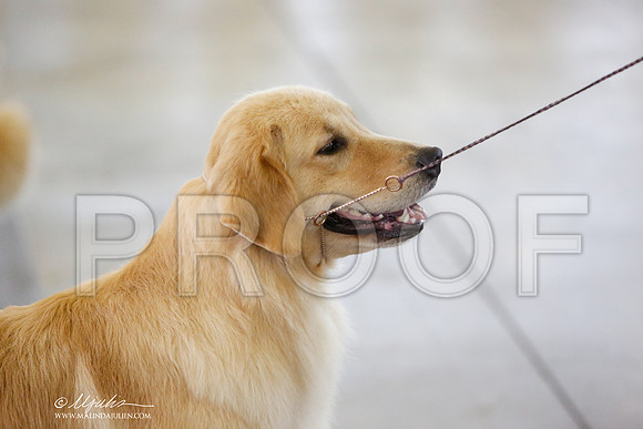 _JN_9417-DallasJul2014-HR3