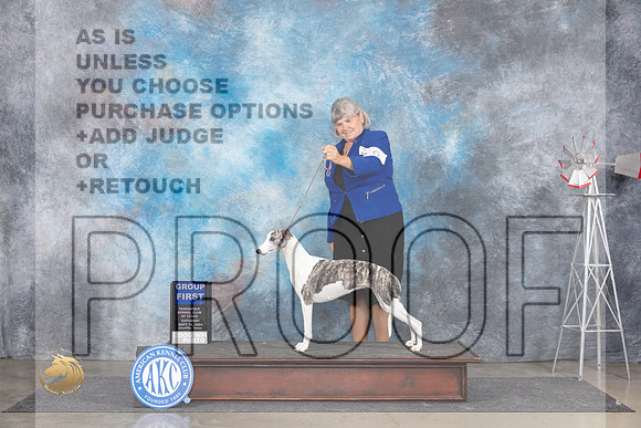 Whippet #9 Sat G1 Judge Pat Trotter__JP_5974_Amarillo_2024_HR3