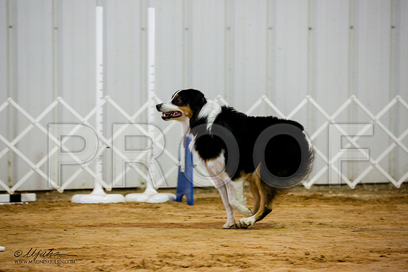 _JJ_8228-ASCACollegeStationNov2014-HR3