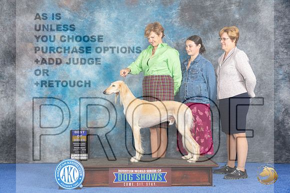 Saluki #9 Wed BO Judge Barbara Scherer__JP_7548_Houston_2024_HR3