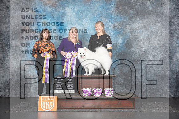 American Eskimo # VBIS ABIS Judges Sandra Phillips & Terri Rein__JP_1575_UKCLNGVIEWOCT2024_2024_HR3