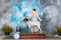 Germa Shorthaired Pointer #5 Sat SD Judge Christie Martinez