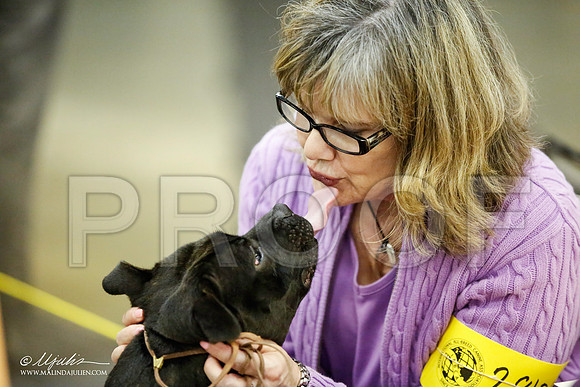 _JJ_6020-BeltonJan2015IABCA-HR3