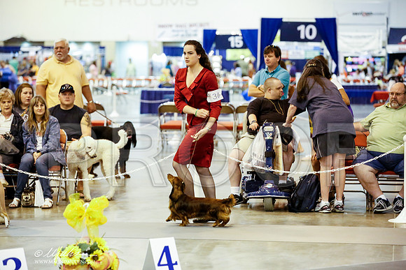 _JN_7320-HstnJul2014-HR3