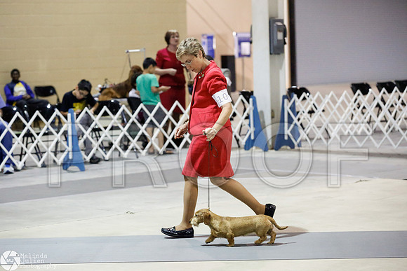 _CL_7962-SanAntonioJul2014-HR