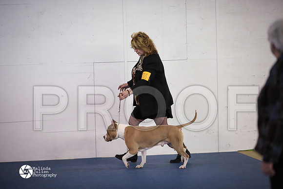 APBT-5461-HtoJan14-HR