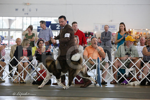 _JJ_1715-DallasJul2014-HR3