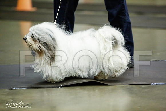 _JJ_5420-BeltonJan2015IABCA-HR3