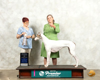 Greyhound #100 Wed RC Judge Marian Campbell
