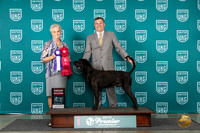 Plott #277 Sat G2 Judge Diane Price