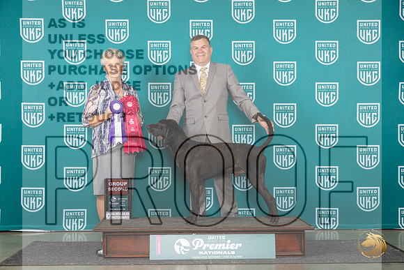 Plott #277 Sat G2 Judge Diane Price__JP_2302_Premier_2024_HR3