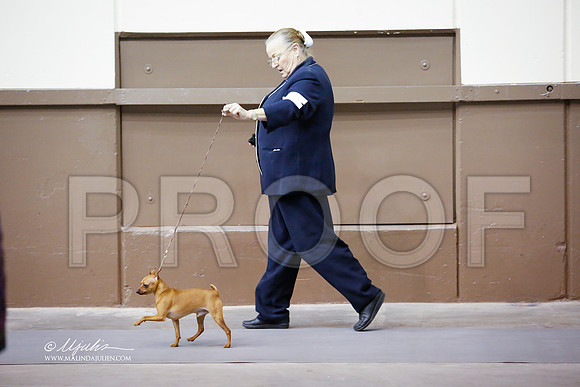 MinPin-2968-SANov13-HR