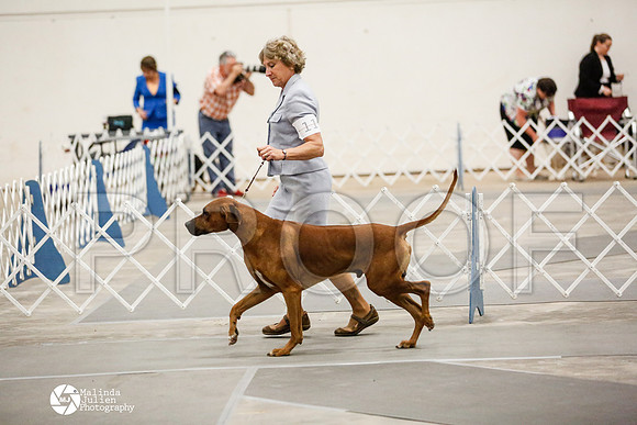 _RH_4117-AblnMay2014-web