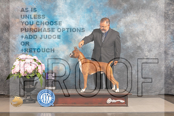 Boxer #7 WED WD Major Judge Barbara Alderman_MJ_6377_Houston_2022_HR3