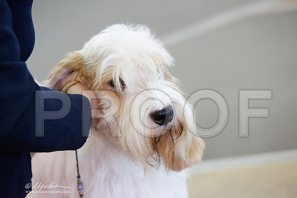 _JJ_7532-DallasJul2014-HR3