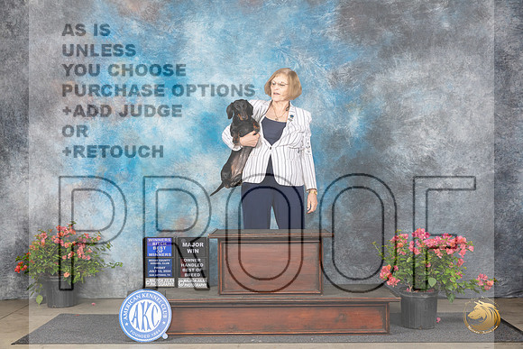 Dachshund Smooth #8 Fri WBBOWOHBOBM Judge Polly (Mrs Robert) D Smith__JP_4006_San Antonio_2024_HR3