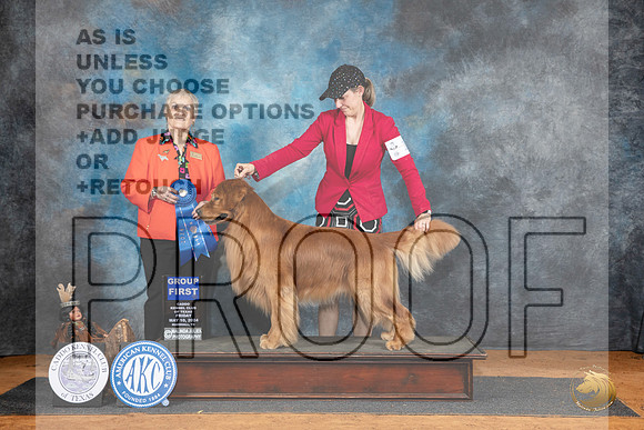 Golden Retriever #19 Fri G1 Judge Suzanne Dillin__JP_7438_MARSHALL_2024_HR3