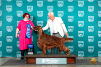 Irish Setter #862 Fri G1 Judge Tracy Karsjens