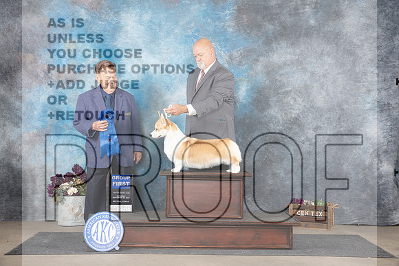 Pembroke Welsh Corgi #6 Sat G1 Judge Del Richards__JP_7360_Belton_2024_HR3