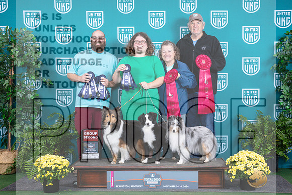 Miniature American Shepherds #129 136 152__JP_2819_UKCTDI2024_HR3