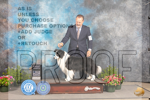 Border Collie #5 Fri G4 Judge Allen Odom_MJ_0083_SA_2022_HR3