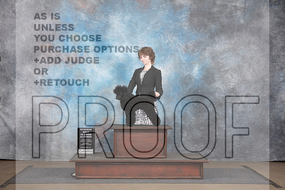 Poodle Mini #326 Sun ARBIS Judge Chandra Martin__JP_3144_LongviewTX_2024_HR3