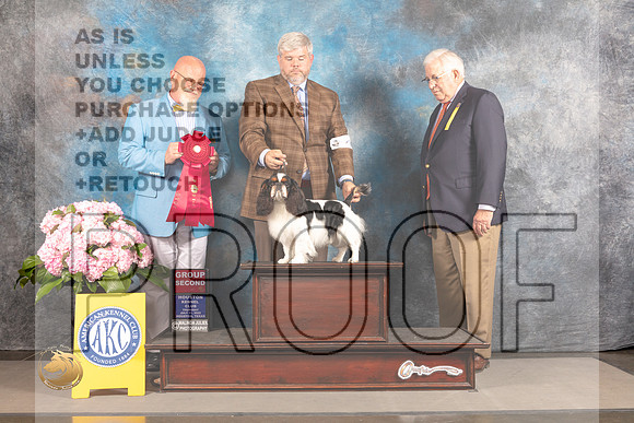 English Toy #5 Thurs G2 Judge Jeff Bazell_MJ_4464_Houston_2022_HR3