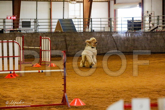 _MJ_2504-AfgBeltonOct2014-HR3