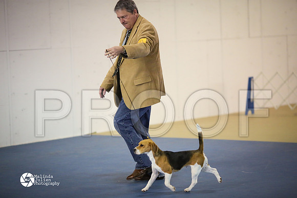 beag-9193-HtoJan14-HR