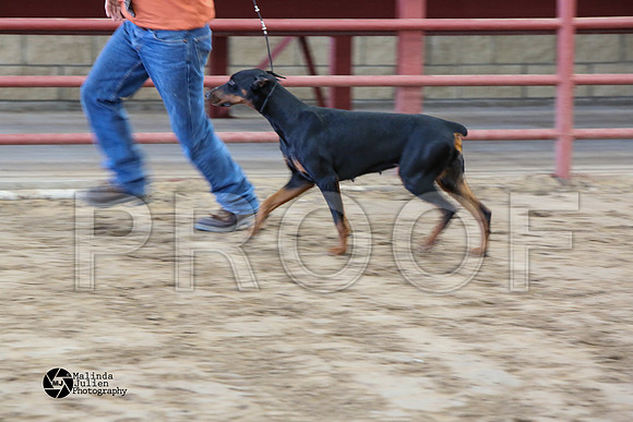 MJ2_0978-WacoFeb14-HR