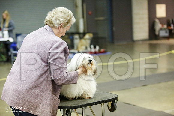 _JJ_5416-BeltonJan2015IABCA-HR3