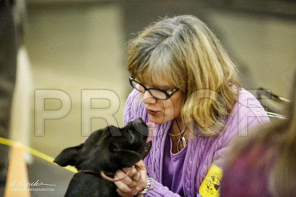 _JJ_6022-BeltonJan2015IABCA-HR3