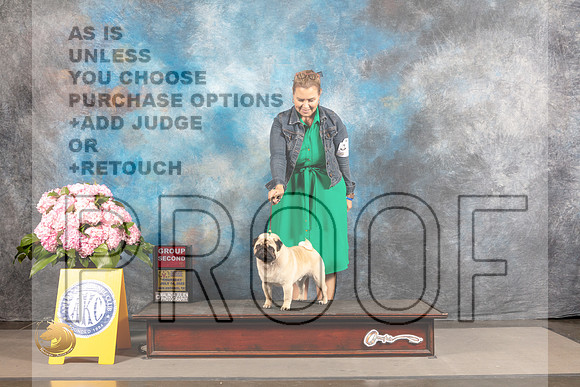 Pug #? THUR G2 Judge Alan Odom SAN ANTONIO *R*_MJ_4281_Houston_2022_HR3