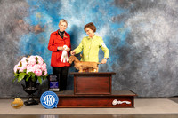 Dachshund Wire Haired #6 FRI G4 Judge Patricia Sosa