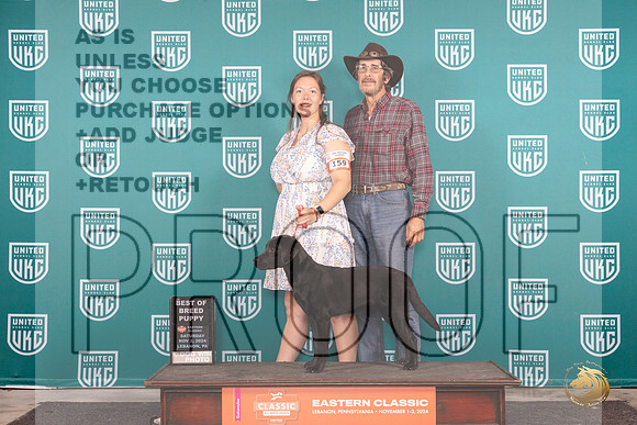 Labrador Retriever #159 Sat BOBP Judge Kathryn Baxter r__JP_2101_UKCEastern_2024_HR3
