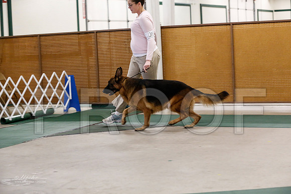 GSD-4921-NormanNov13-HR