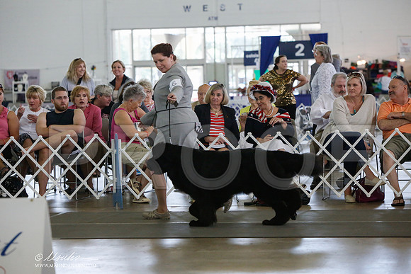_JJ_1929-DallasJul2014-HR3