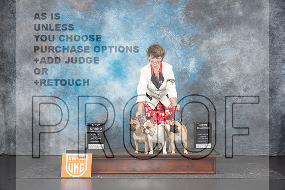 French Bulldogs #192 __JP_1534_UKCLNGVIEWOCT2024_2024_HR3