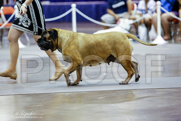 _JN_9083-DalJul2014-HR3